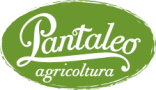 Food Brand Logo - Pantaleo Agricoltura 1